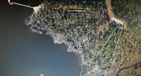 GIS View