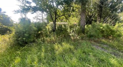 Old Market Land Pic