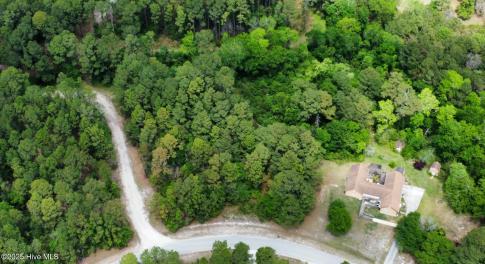 drone view