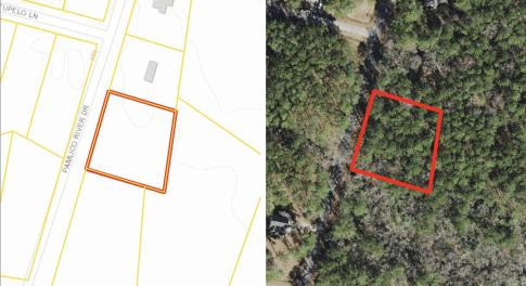 Image 8-8-25 at 2.47PM 2