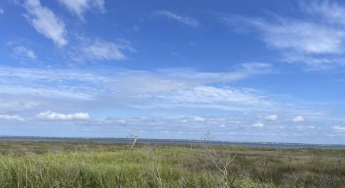 IMG_4414 Large
