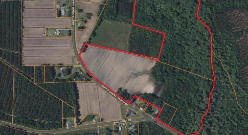 Screenshot 2025-08-05 at 12.25.59PM