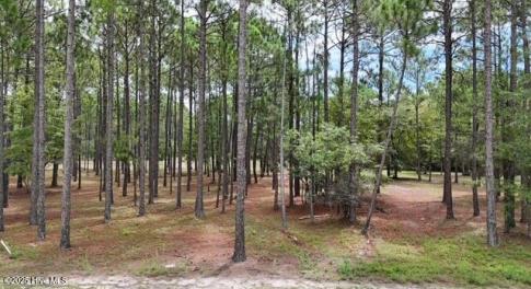 Front View of Lot from the Road