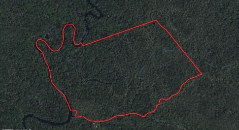 Waccamaw River Hunting Land