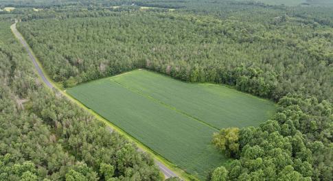 2-web-or-mls-DJI_0712