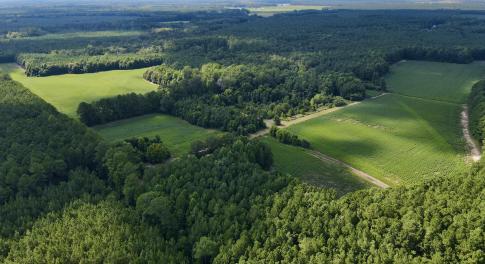 Aerial View of property
