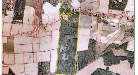 doc03171020250819092558_page-0001