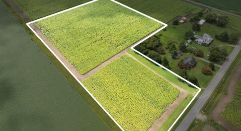 13-web-or-mls-DJI_0614_1