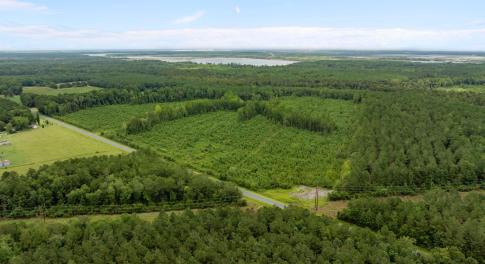 3-web-or-mls-DJI_0695