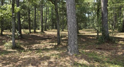 SEAGO 3.36 acres