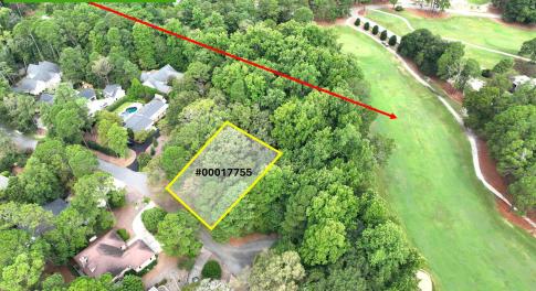 TBD Turtle Pt Drone-6