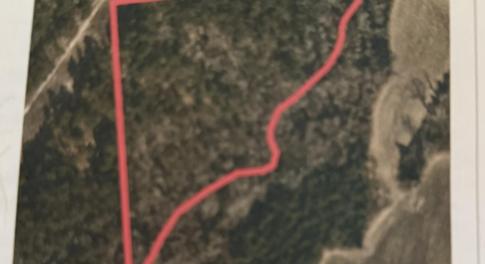 GIS Map