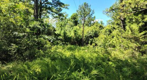 498 Poyners Rd.
