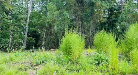 6075 Ocean Isle Palms Way SW