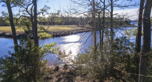 View of Smith Creek