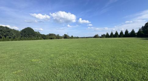 Open Land
