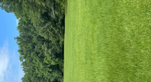 Fabulous 3 acres