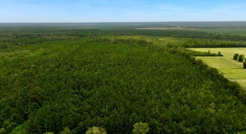 aerial