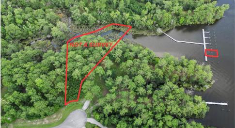 1_your paragraph text (6).png