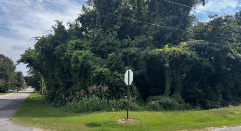 TBD W Indiana - Corner lot