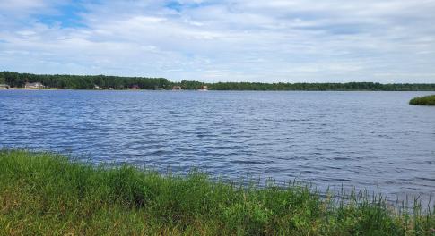 View from lot 545