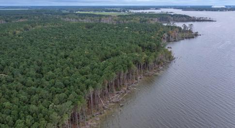 Bluff Point Road Lot-16