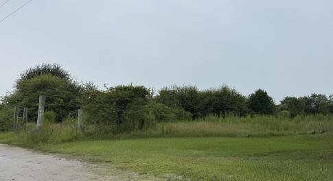 IMG_2735
