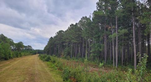 1) 63172-68cd8070697e7