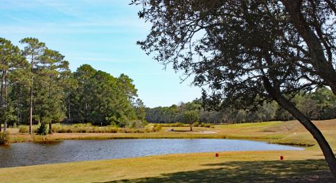 Tiger's Eye Hole 8 Pond