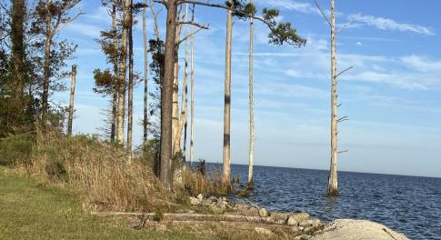 Sound View