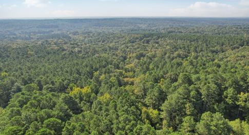 S Rocky River Rd-002