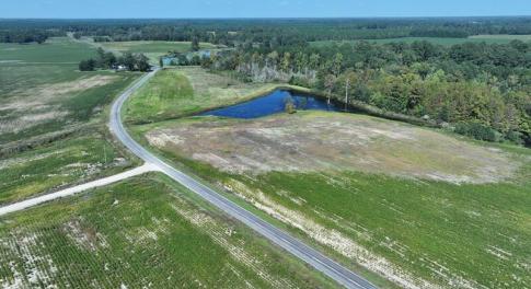 Tract 18 Cowpen Swamp Rd