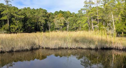 238 Mill Creek Rd