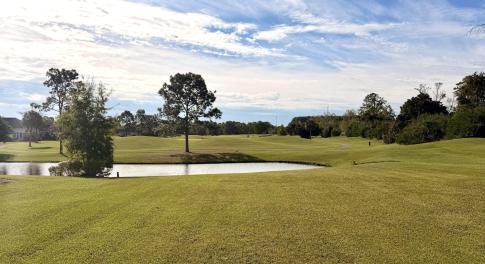 View from middle of site