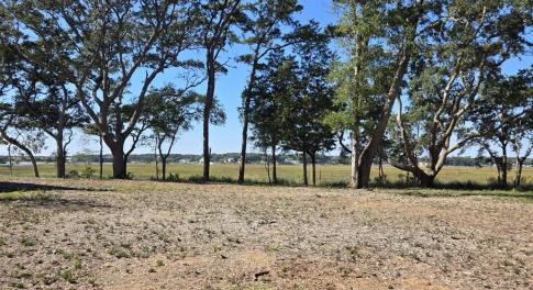 from of the Front of the Property