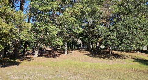 20251030_152431_resized