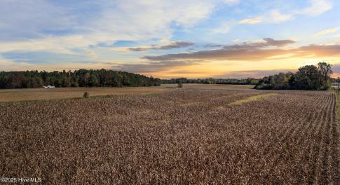Field