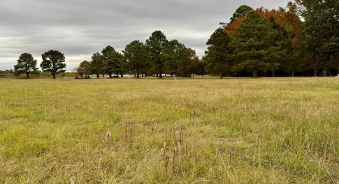 8DF46981-4B59-49CE-B55F-A4E71E8EEC99