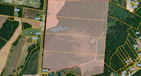 Screenshot 2025-11-11 at 12-02-25 Wayne