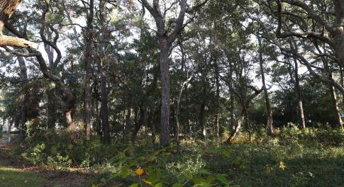 78th St 111 ET5A6705