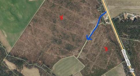 Screenshot 2025-11-17 171420