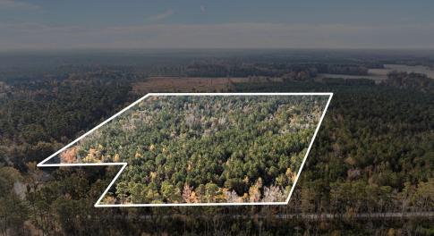 1449 Parameter Road Lot Lines