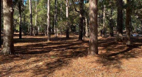 RIVER RUN PLANTATION