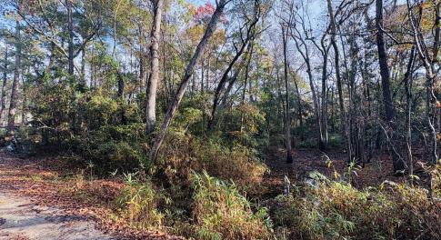 1574 Hollywood St. SW. Shallotte