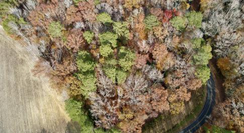 Aerial View of property