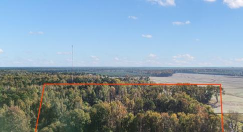 5-web-or-mls-2732-us-117