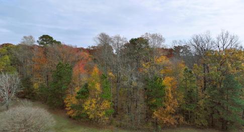 DJI_20251120120725_0421_D