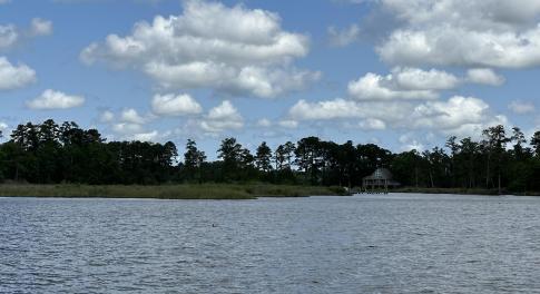 IMG-8893