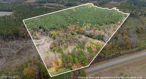 2-web-or-mls-DJI_20251027131122_0037_D_1