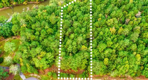 1) 66300-6961bcb24a254